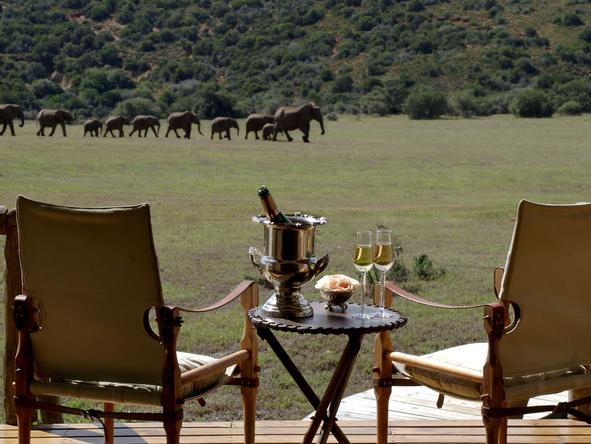 Gorah Elephant Camp - Deck